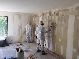 Best Mold Remediation for Healthcare Facilities  in Huntington Station, NY